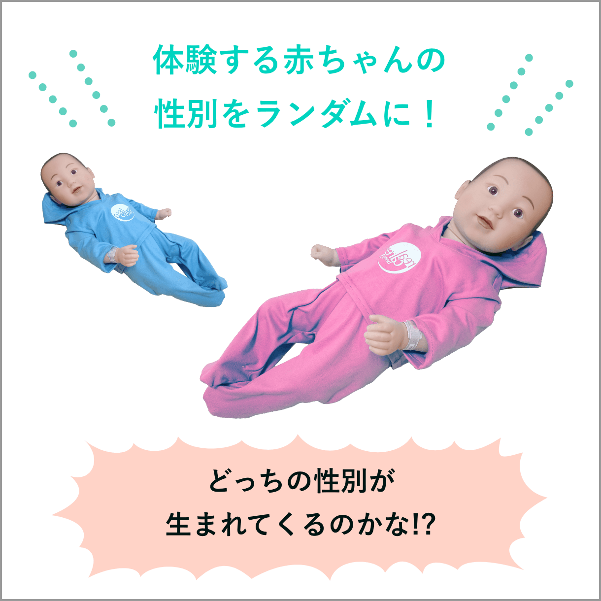 女の子の赤ちゃんを追加した場合の画像